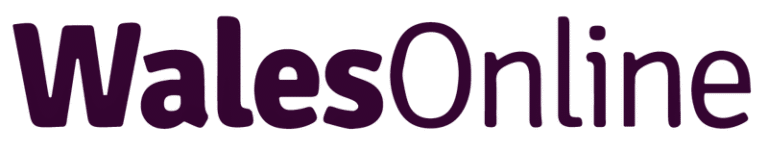 69cba9818dfbcb9534dd7ec9_Wales20online203-01-p-800